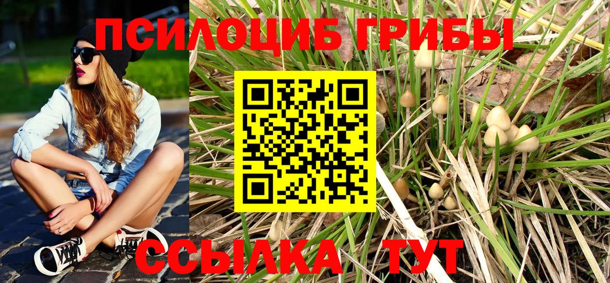 Псилоцибиновые грибы ЛСД  Вход с VPN  Костомукша 